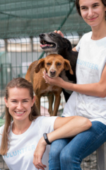 Duas cuidadoras d euma creche pet com um cachorro preto e um cachorro caramelo, ambos de pequeno porte