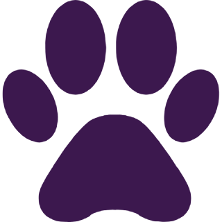 Logo da Pet Boutique