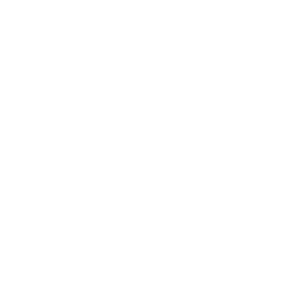 Logo do Whatsapp